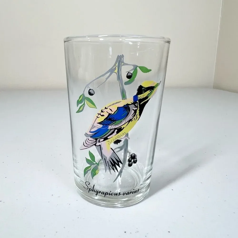 VTG 60’s Kig Malaysia Exotic Tropical Bird Glasses Set of 6